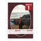 Dark Red Suede Mat Board for 28x40 Frames - Oval Opening for 24x36 Photos